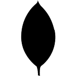 MongoDB Logo